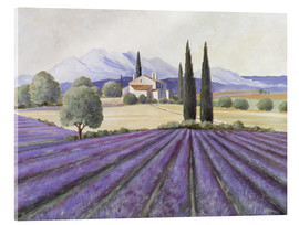 Akrylbillede  Lavender Fields - Franz Heigl