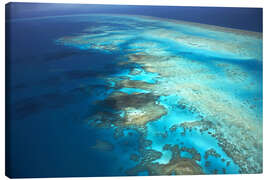 Lærredsbillede  Great Barrier Reef Marine Park - David Wall