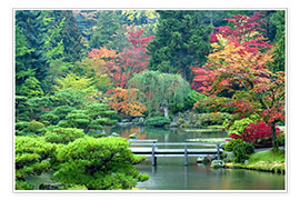 Plakat  Japanese Garden in Seattle - Janell Davidson