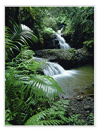Plakat  Waterfall in Hawaii - Douglas Peebles