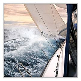 Plakat  Sailing through the storm - Jan Schuler