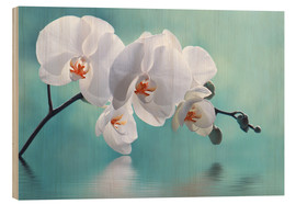 Print på træ  Orchid with Reflection II - Atteloi