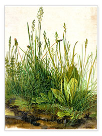 Plakat  Den store græstorv - Albrecht Dürer