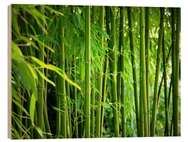 Print på træ  Bamboo - Gabi Siebenhühner