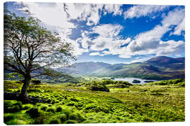 Lærredsbillede  Lake of Killarney - Daniel Heine