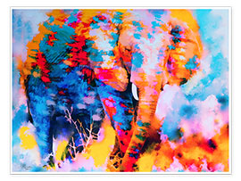 Plakat elephant impression