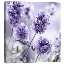 Lærredsbillede  Lavender scent III - Atteloi