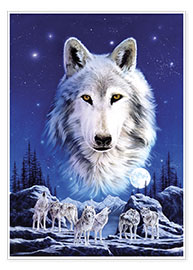 Plakat  Night of the wolves - Robin Koni