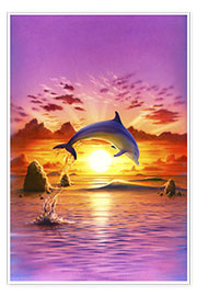 Plakat  Day of the dolphin - sunset - Robin Koni