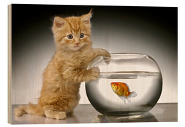 Print på træ  Ginger cat and fishbowl - Greg Cuddiford