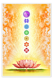 Plakat Sacred lotus