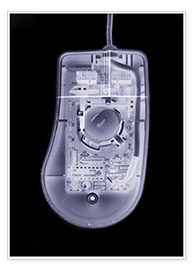 Plakat  Computer mouse, simulated X-ray - Mark Sykes
