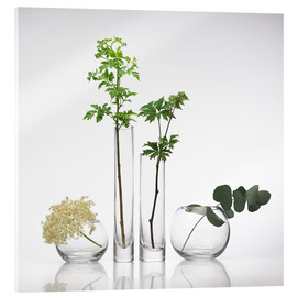 Akrylbillede  Medicinal plants, conceptual image