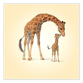Plakat  Giraffe &amp; Calf - John Butler