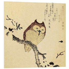 Print på skumplade  Owl on a Flowering Magnolia Branch - Kubota Shunman