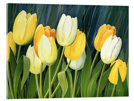 Akrylbillede  Tulips - Franz Heigl
