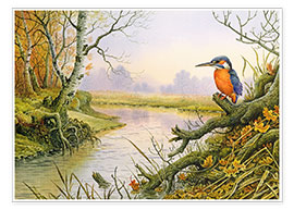 Plakat  Kingfisher: scene på høstende flod - Carl Donner