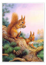 Plakat  Pair of Red Squirrels on a Scottish Pine - Carl Donner