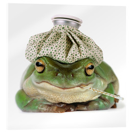 Akrylbillede  Sick frog - Darwin Wiggett