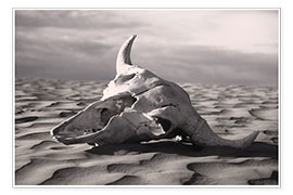 Plakat  Skull in the desert - Carson Ganci