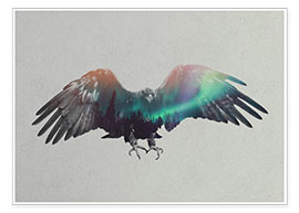 Plakat  Eagle In The Aurora Borealis - Andreas Lie