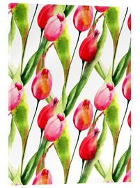 Akrylbillede  Tulips flowers