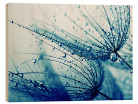 Print på træ  dandelion in dark blue