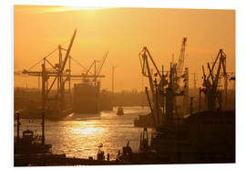Print på skumplade  Morning light in the Hamburg harbor