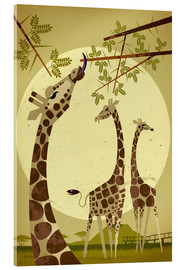 Akrylbillede  Giraffer - Dieter Braun