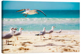 Lærredsbillede  seagulls beach