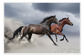 Plakat Horses in the storm
