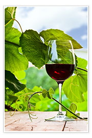 Plakat  Glas med rødvin i vingården