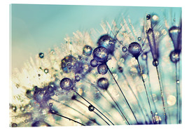 Akrylbillede  Dandelion Dream - Julia Delgado