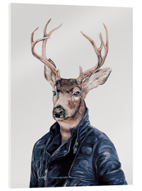 Akrylbillede  Deer - Animal Crew