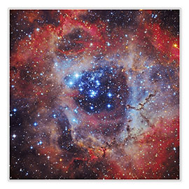 Plakat The Rosette Nebula