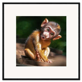 Kunsttryk i ramme  Baby Monkey - Photoplace Creative