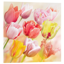 Akrylbillede  Various tulips