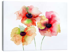 Lærredsbillede  Poppy flowers