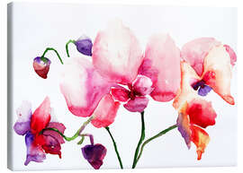 Lærredsbillede  Pink orchids
