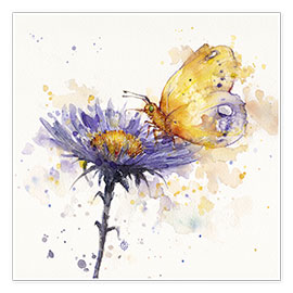 Plakat Flowers & flutters (sommerfugl og blomst)