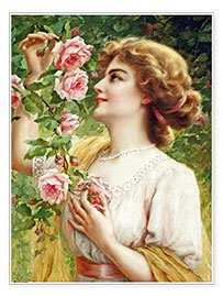 Plakat Fragrant roses
