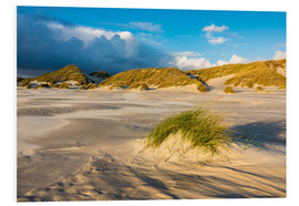 Print på skumplade  Dunes on the island of Amrum, North Sea