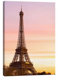 Lærredsbillede  Beautiful Light in Paris - Mike Clegg Photography