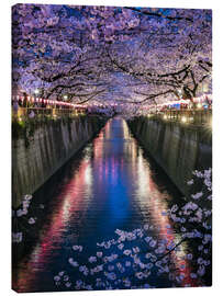 Lærredsbillede  Nakameguro sakura festival in Tokyo, Japan - Jan Christopher Becke