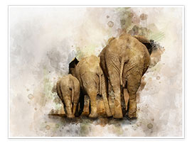 Plakat elephants