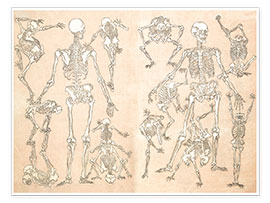 Plakat skeletons