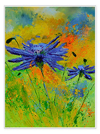 Plakat Two cornflowers