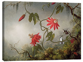 Lærredsbillede  Passion Flowers and Hummingbirds - Martin Johnson Heade