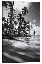 Lærredsbillede  Tropiske palmer på en brasiliansk strand, sort-hvid - Alex Saberi