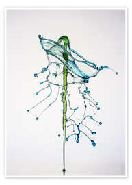 Plakat  Water drops Green fir-tree - Stephan Geist